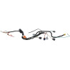 Faisceau de câble BRIGGS & STRATTON 593866
