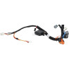 Faisceau de câble BRIGGS & STRATTON 593866