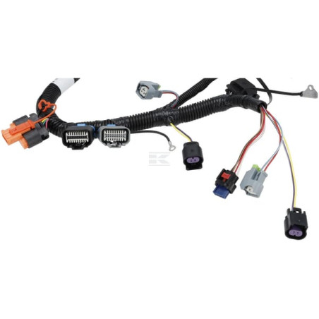 Faisceau de câble BRIGGS & STRATTON 593866