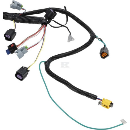 Faisceau de câble BRIGGS & STRATTON 593866