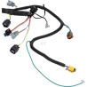 Faisceau de câble BRIGGS & STRATTON 593866