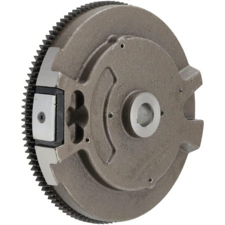Volant BRIGGS & STRATTON 594169