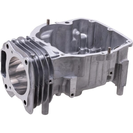 Cylindre BRIGGS & STRATTON 596413