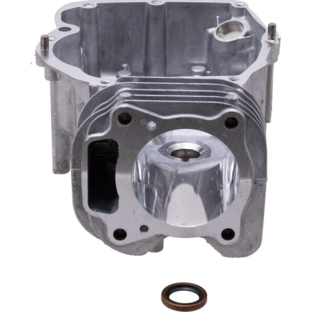 Cylindre BRIGGS & STRATTON 596413