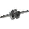 Vilebrequin BRIGGS & STRATTON 595568