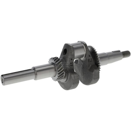 Vilebrequin BRIGGS & STRATTON 595568