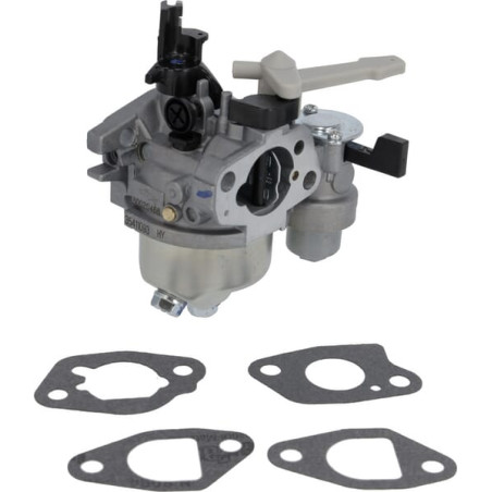 Carburateur BRIGGS & STRATTON 596080