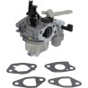 Carburateur BRIGGS & STRATTON 596080
