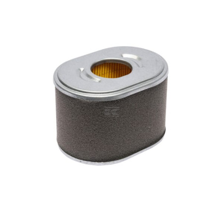 Filtre à cartouche BRIGGS & STRATTON 595435