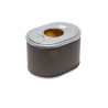 Filtre à cartouche BRIGGS & STRATTON 595435