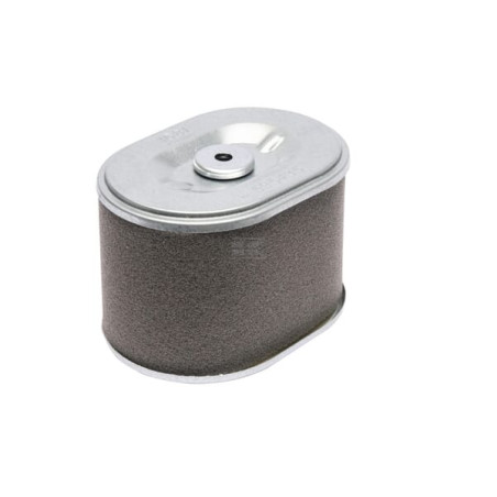 Filtre à cartouche BRIGGS & STRATTON 595435