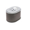 Filtre à cartouche BRIGGS & STRATTON 595435
