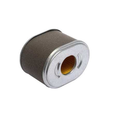 Filtre à cartouche BRIGGS & STRATTON 595435