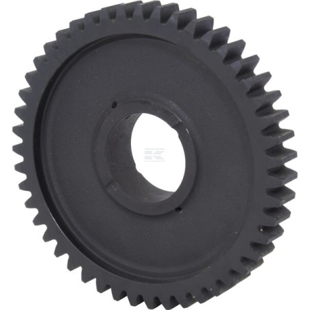 Pignon RAICO 598179N