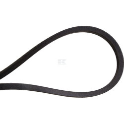 Kit de courroie NIEMEYER 593862