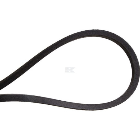 Kit de courroie NIEMEYER 593862