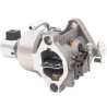 Carburateur BRIGGS & STRATTON 594597