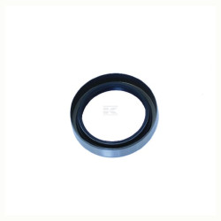 Joint torique RAICO 594342N
