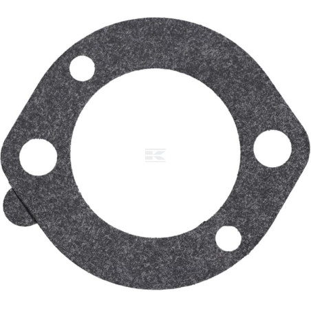 Carburateur BRIGGS & STRATTON 591309