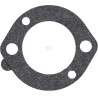 Carburateur BRIGGS & STRATTON 591309