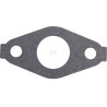 Carburateur BRIGGS & STRATTON 591309