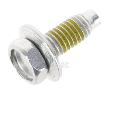 Carburateur BRIGGS & STRATTON 591309