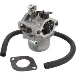 Carburateur BRIGGS & STRATTON 590399
