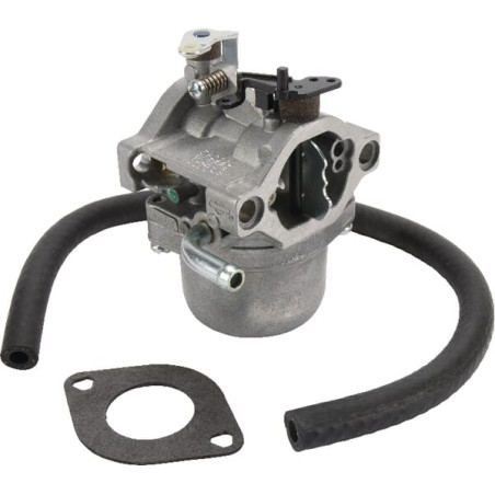 Carburateur BRIGGS & STRATTON 590399