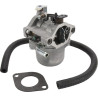 Carburateur BRIGGS & STRATTON 590399