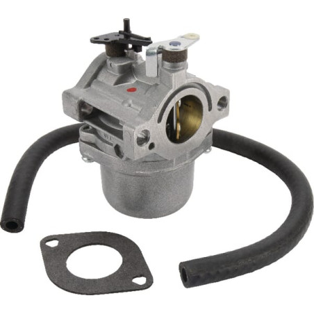 Carburateur BRIGGS & STRATTON 590399