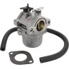 Carburateur BRIGGS & STRATTON 590399