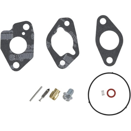 Kit BRIGGS & STRATTON 592229