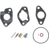 Kit BRIGGS & STRATTON 592229