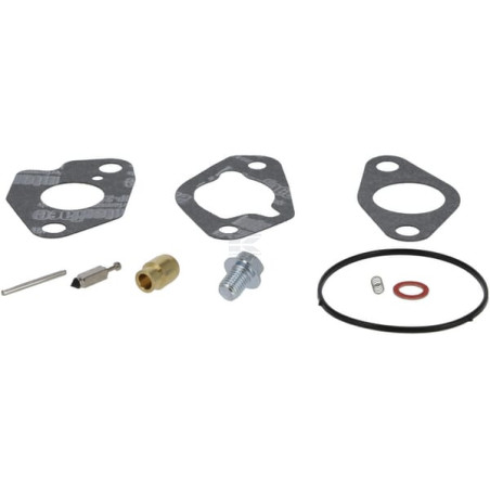 Kit BRIGGS & STRATTON 592229