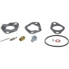 Kit BRIGGS & STRATTON 592229