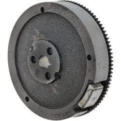 Volant BRIGGS & STRATTON 591095