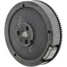 Volant BRIGGS & STRATTON 591095