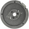 Volant BRIGGS & STRATTON 591095