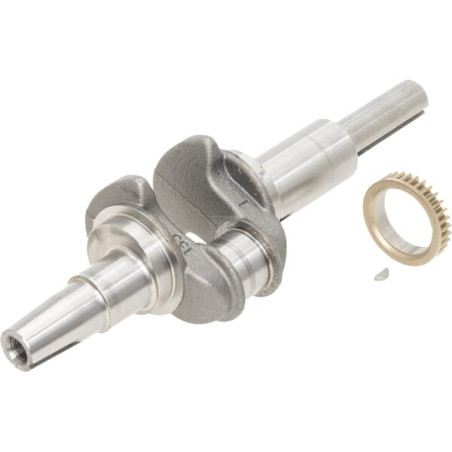 Vilebrequin BRIGGS & STRATTON 593417
