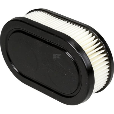 Filtre à air BRIGGS & STRATTON 593260