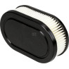 Filtre à air BRIGGS & STRATTON 593260