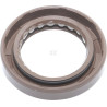 Joint d'huile BRIGGS & STRATTON 591793