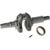 Vilebrequin BRIGGS & STRATTON 591948
