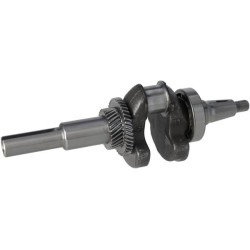 Vilebrequin BRIGGS & STRATTON 590961