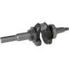Vilebrequin BRIGGS & STRATTON 590961