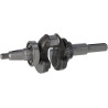 Vilebrequin BRIGGS & STRATTON 590961