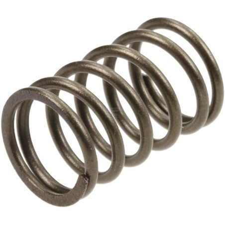 Soupape BRIGGS & STRATTON 590532