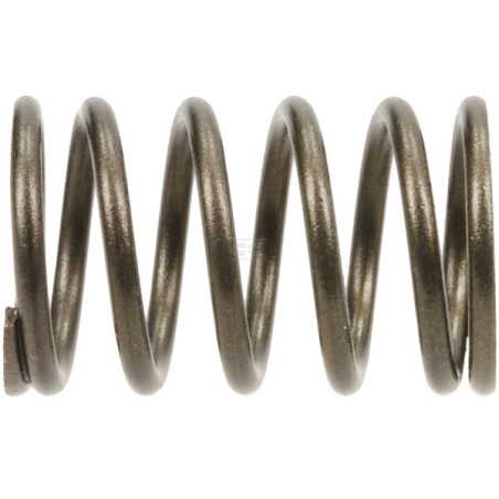 Soupape BRIGGS & STRATTON 590532