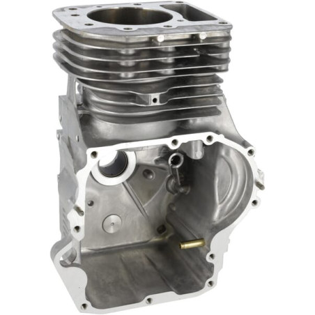 Assemblage BRIGGS & STRATTON 591465
