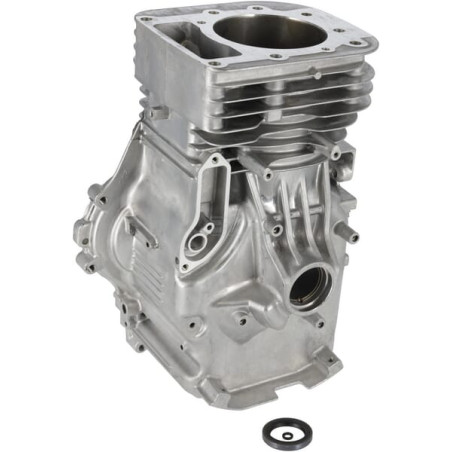 Assemblage BRIGGS & STRATTON 591465
